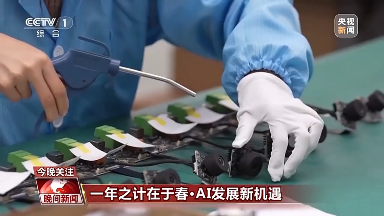 我们的羽毛